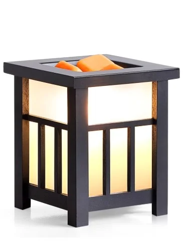 UNTIMATY Wax Warmer for Scented Wood Electric Wax Melt Warmer Wax Burner Night Light