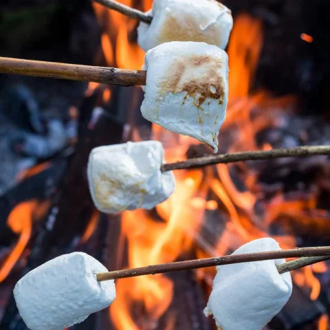 Fireside Marshmallows 1 kg / 2.2 lb