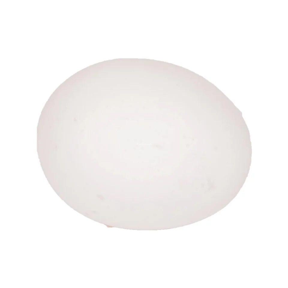 Sunups Large Eggs 30 Units