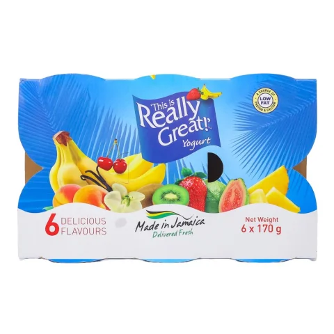 This Is Really Great Yogurt Assortment 6 Units / 170 g