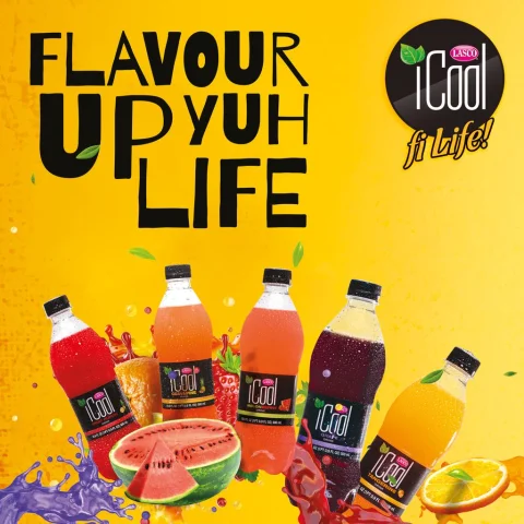 iCool Assorted Juice Drink 24 units / 330 ml