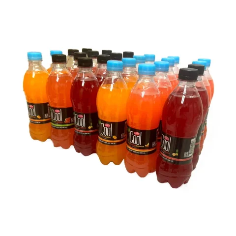 iCool Assorted Juice Drink 24 units / 500 mL