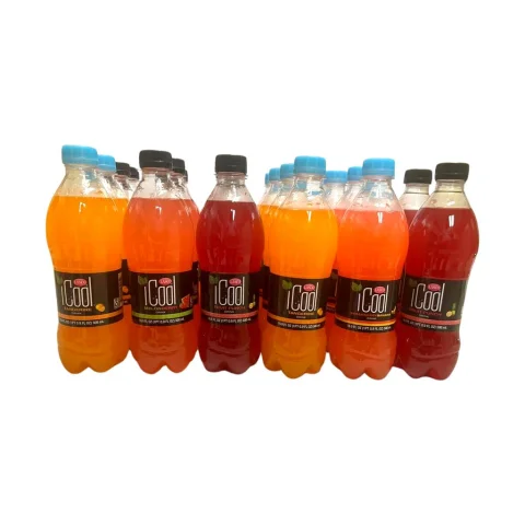 iCool Assorted Juice Drink 24 units / 500 mL