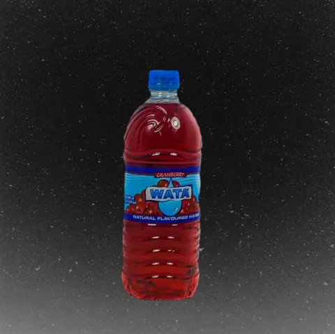 Cran Wata Flavoured Water 24 Units / 600 mL