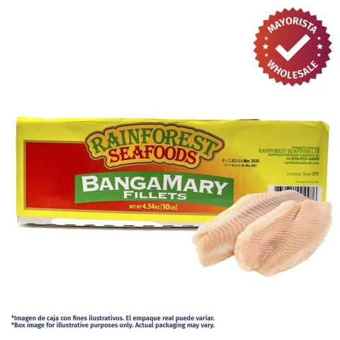 Rainforest Frozen Banga Mary Fillet Case 4.5 kg / 10 lb